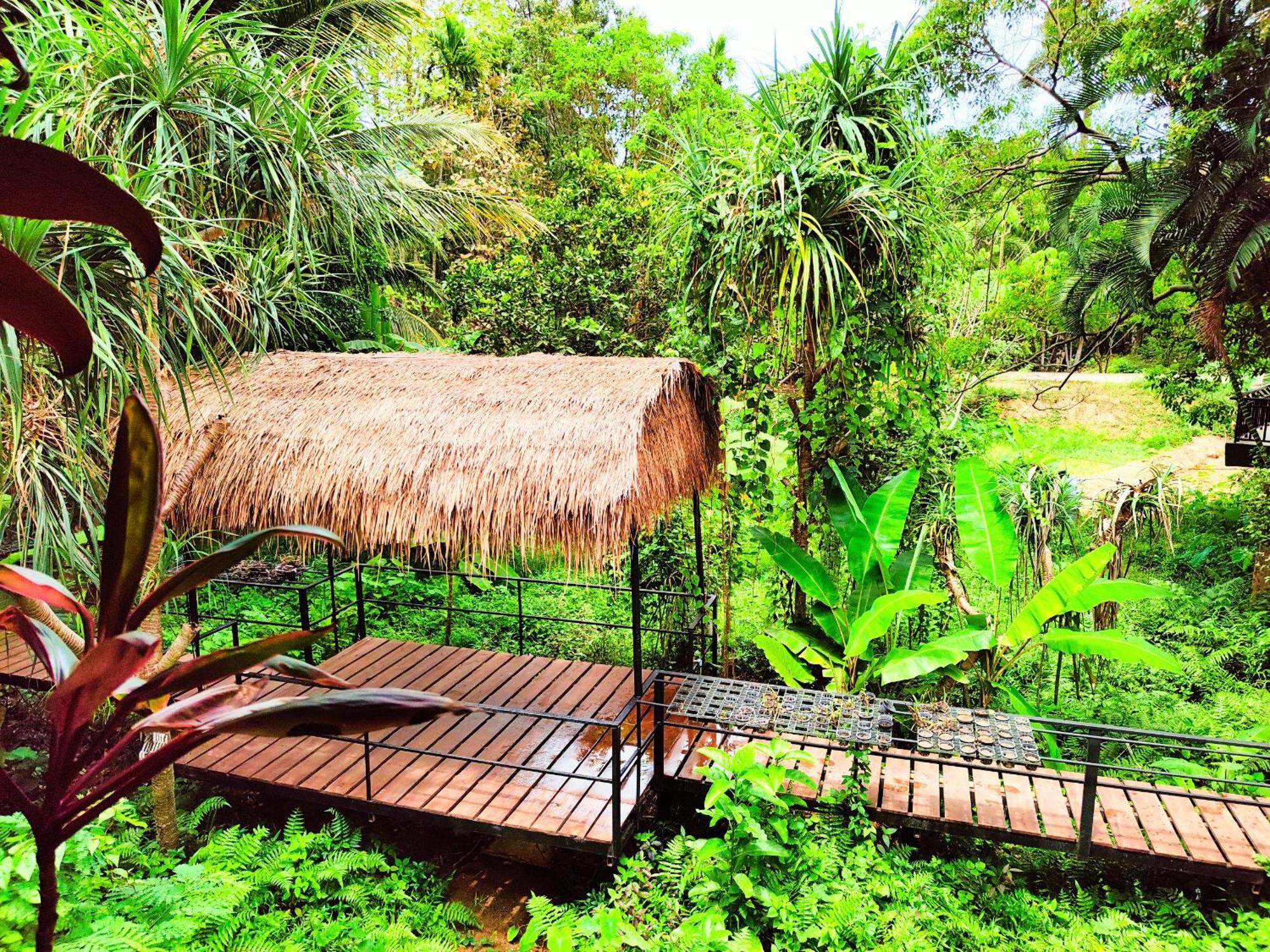 Phuket Jungle Experience Resort Karon Ngoại thất bức ảnh